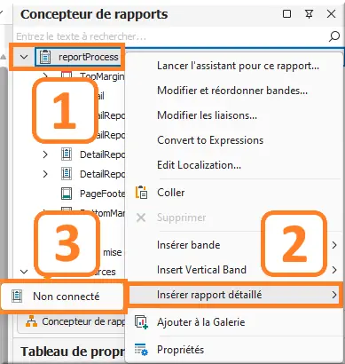 Rapport ajout d'un rapport de détail